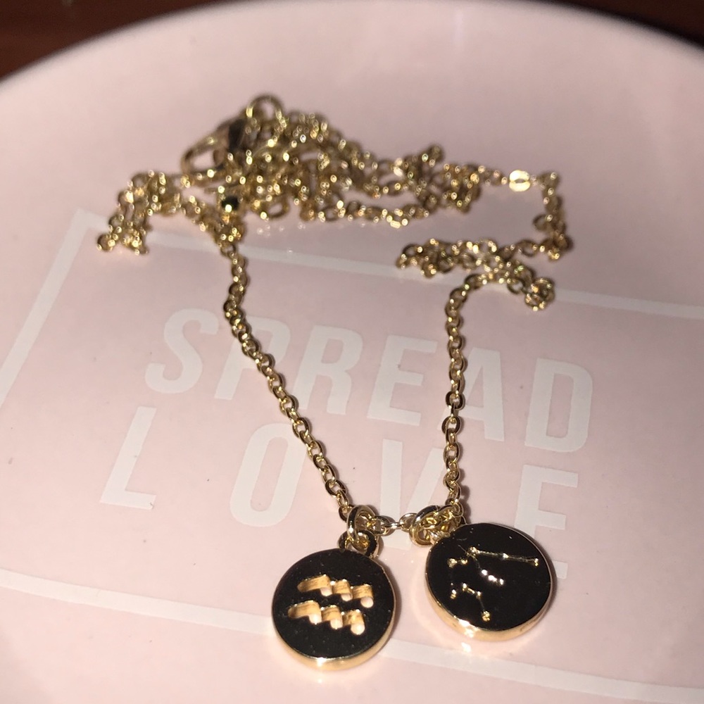 Dainty Aquarious charm necklace